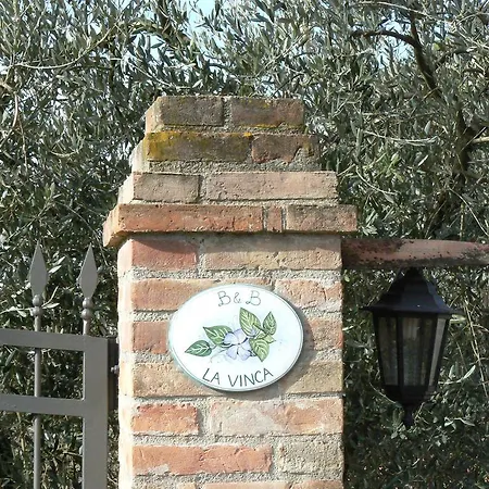 La Vinca 키우시