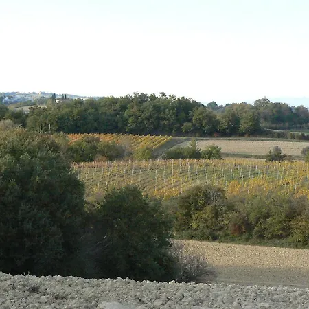 B&B La Vinca