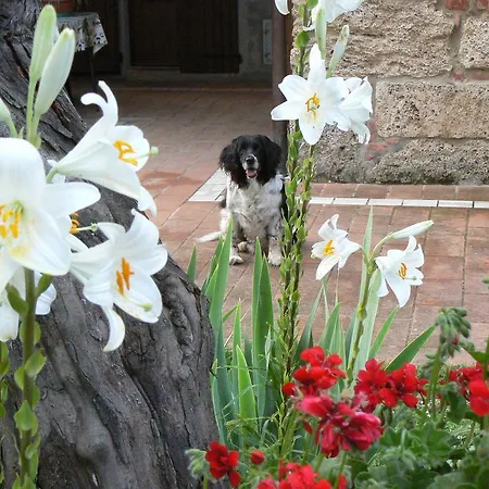 La Vinca B&B