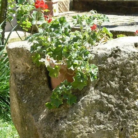 B&B La Vinca *