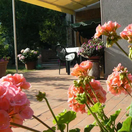 La Vinca